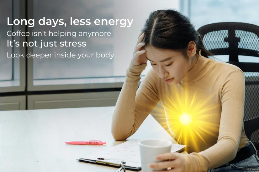 Multivitamins: The Complete Daily Nutrition Support for Energy, Immunity & Overall  Wellness 